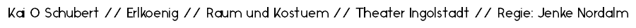 Kai O Schubert // Erlkoenig // Raum und Kostuem // Theater Ingolstadt // Regie: Jenke Nordalm